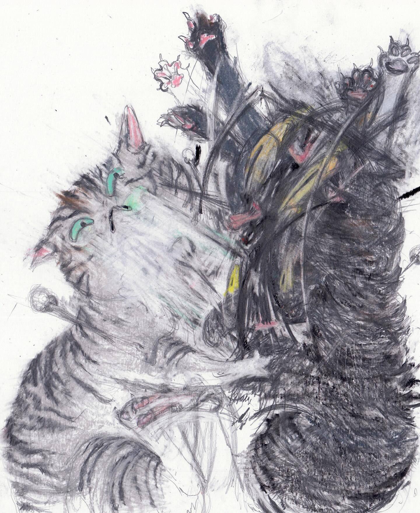 斗猫byLéoForest