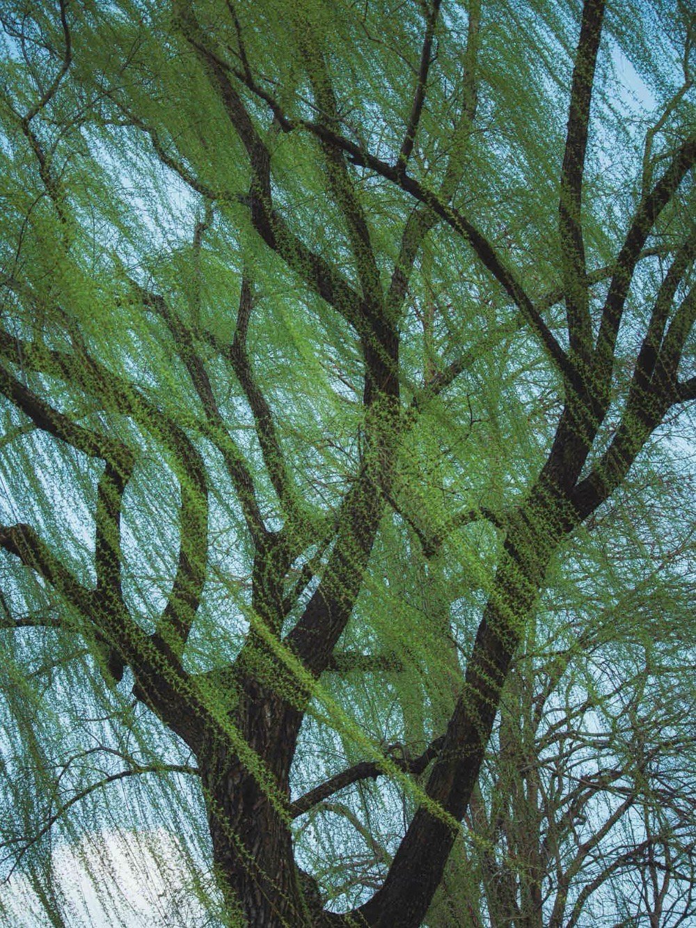 风的形状🌬​​​