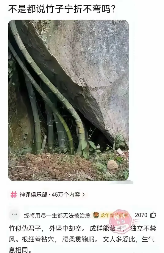 这评论真是才高八斗。。。。。