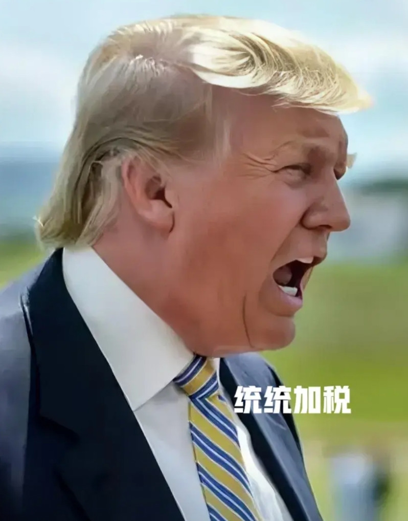 几乎没有幸免，全部加20%以上关税，连欧盟都没放过。只有巴西选择硬刚美国，卢拉总
