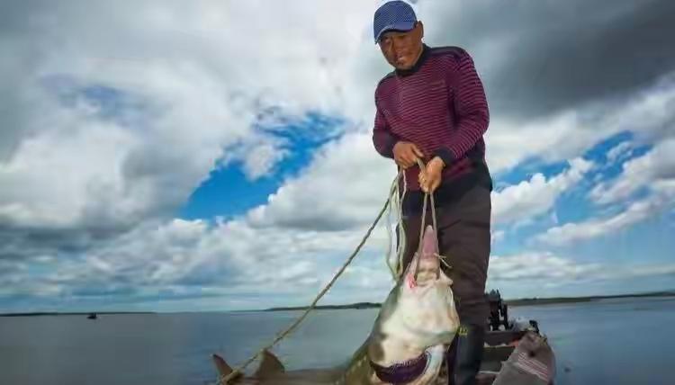 您见过最大的一条鱼多大？我父亲是四零后，六十年代的时候我父亲在黑龙江某县做秘书