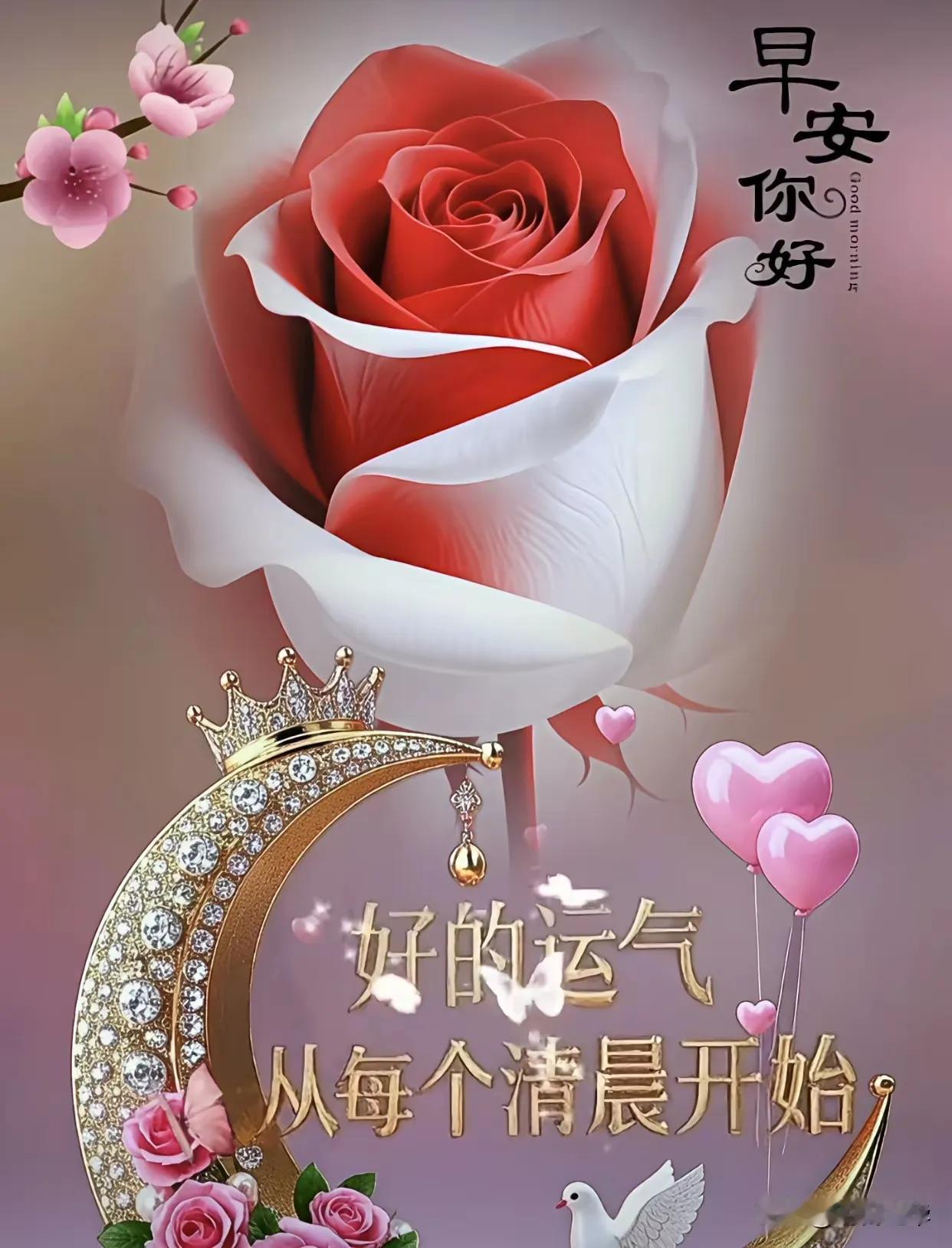 早安，你好！美好的一天从清晨开始，愿你拥有好运气！🌹💖🕊️