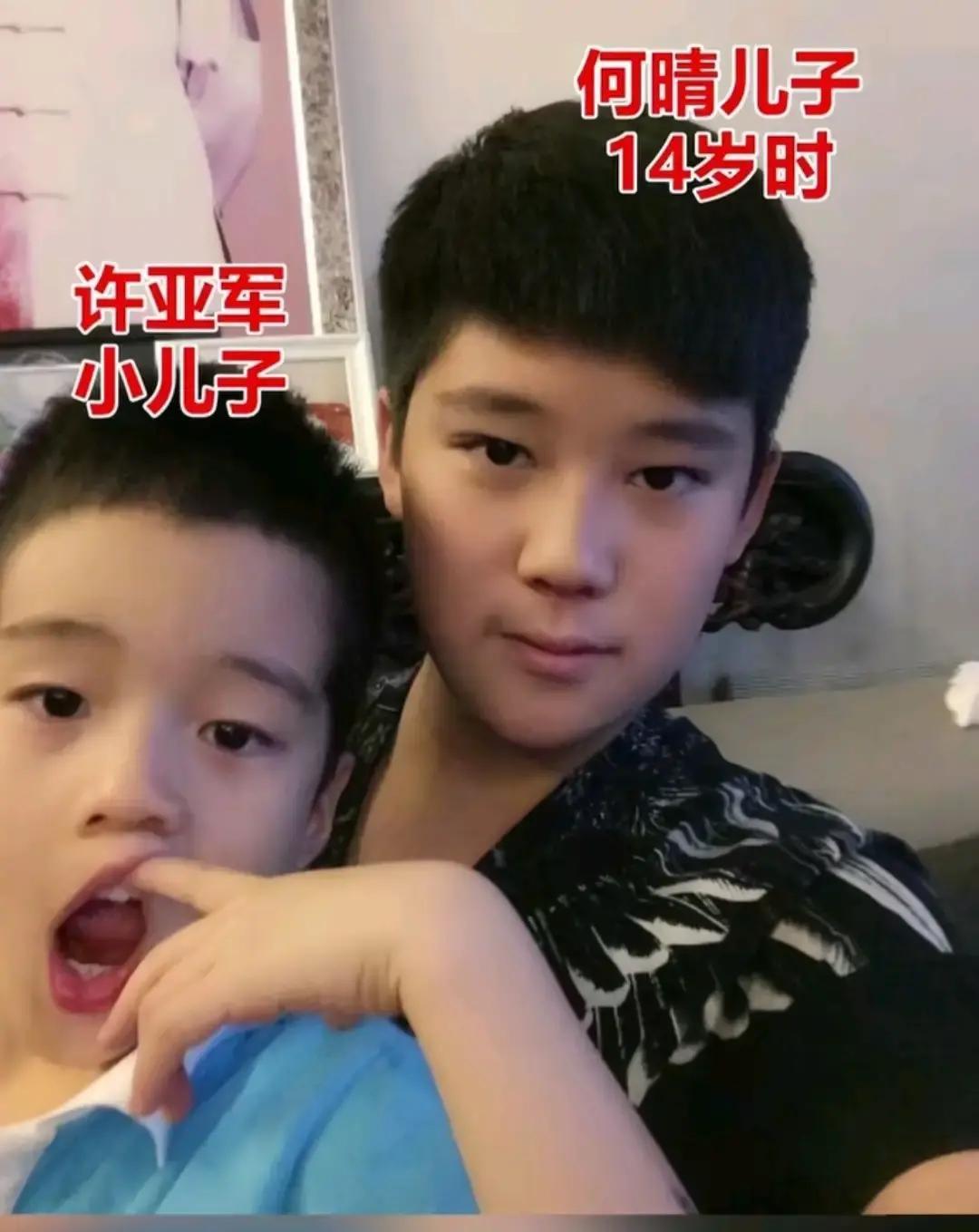 许何牵着同父异母的弟弟走在林荫道上，配文说小树苗终于长到肩膀了。照片里哥哥低头