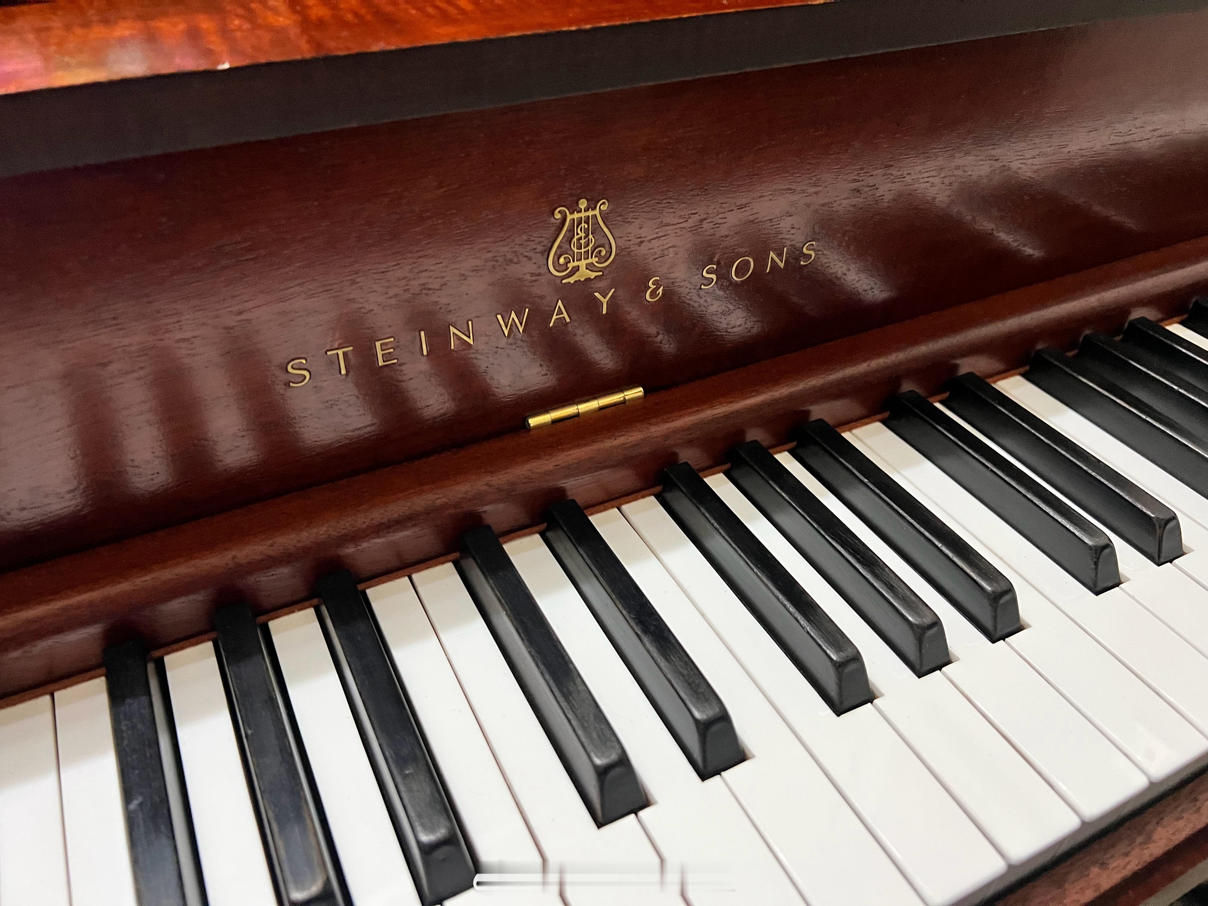 花私房钱买了个大玩具，这回有的玩儿了我的日常plog​​​