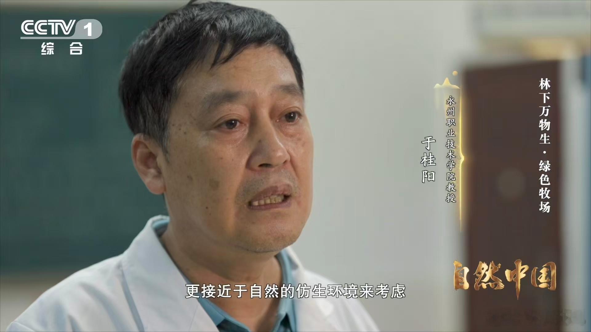 能晒太阳躲雨的仿生态蛇园啥样异蛇是永州特色药材，养殖难题一直被关注，仿生态蛇园