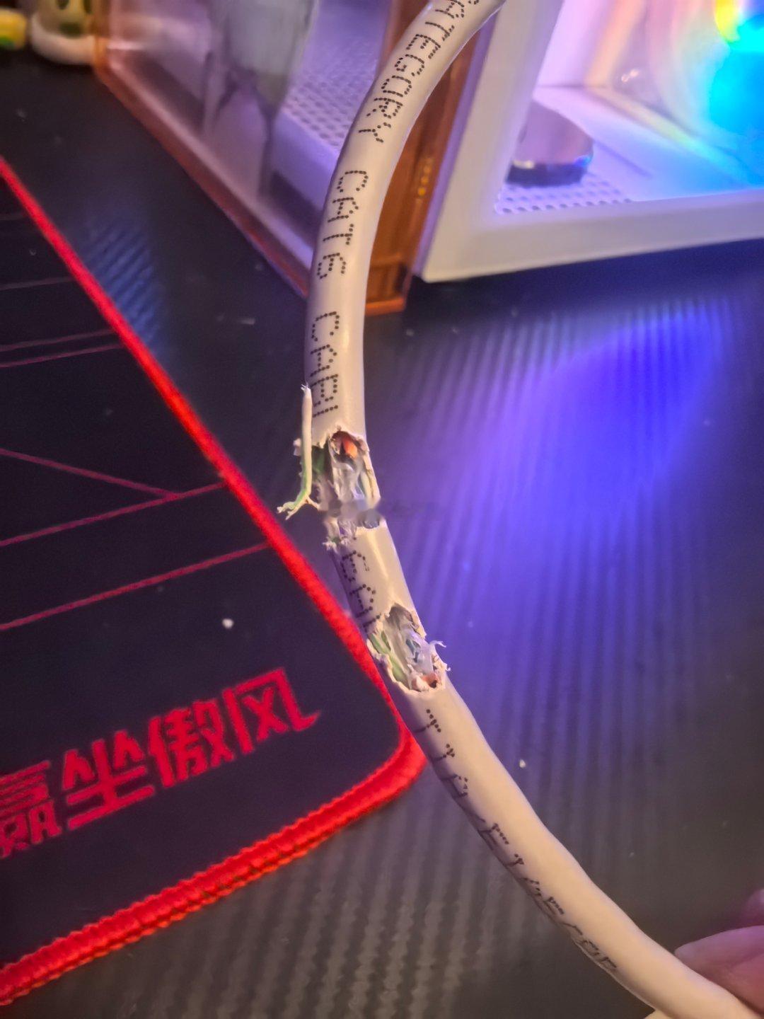 三个月ko两根网线了😡​​​
