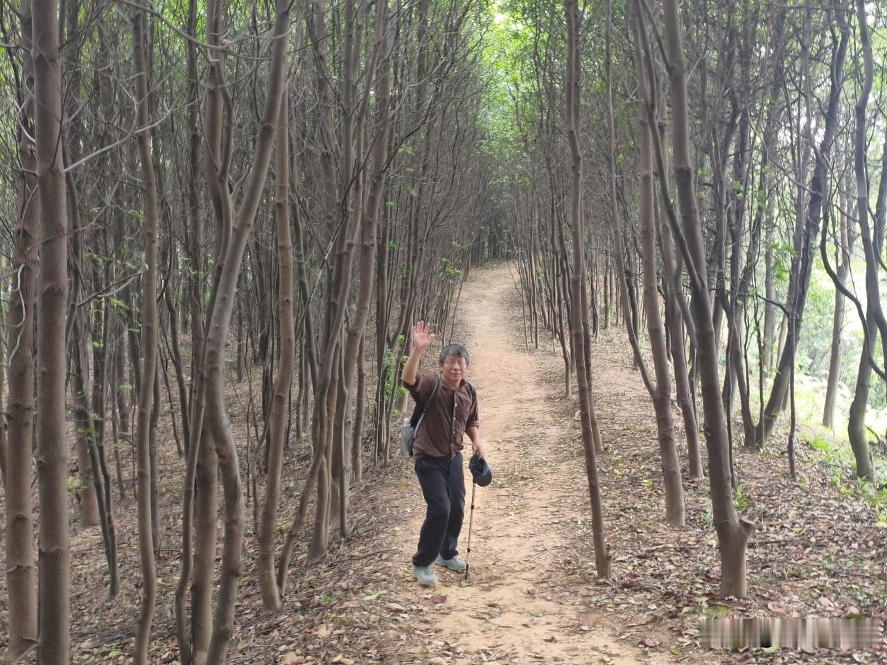 沈富雄曾在节目中当面质问民进党发言人吴峥：“你乐不乐见中华民族复兴？”吴峥脱口而