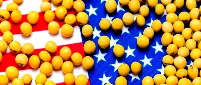 11月份马上就要进口美豆了，值得关注的是，一向以“质优价高”著称的美国大豆，报价