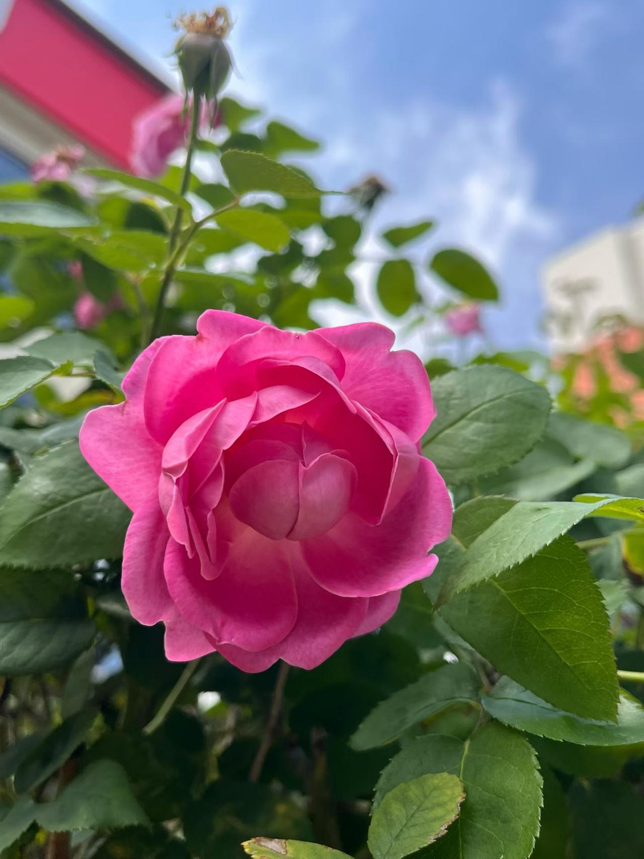 •‿•♡ⓛⓞⓥⓔ♡⛅️²⁰²⁶/₀₇.₁₈ᰔᩚ◡̈ᐝ☕️এℒℴ⋆✧﹊﹊