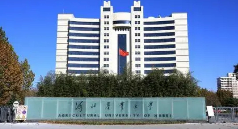 河北农业大学的一则校区停办的公告，让广大学子一时不知所措。河北农业大学近期发布
