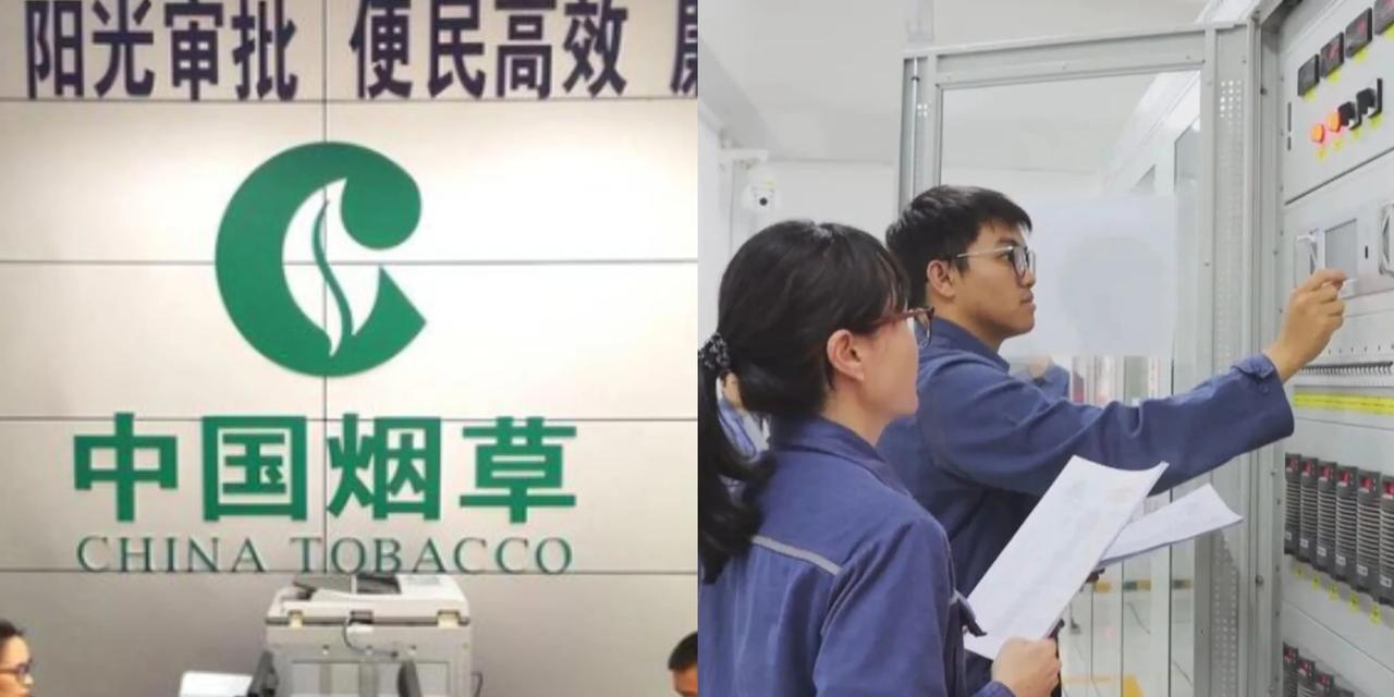 进梅州编制内，选供电还是烟草？近日，有梅州网友问：“我想进编制内，不知道进供