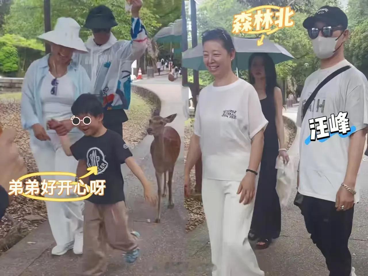 汪峰和森林北“重组家庭”陷入奇妙的稳定，暑假他们俩带着各自的孩子同游日本。（汪峰