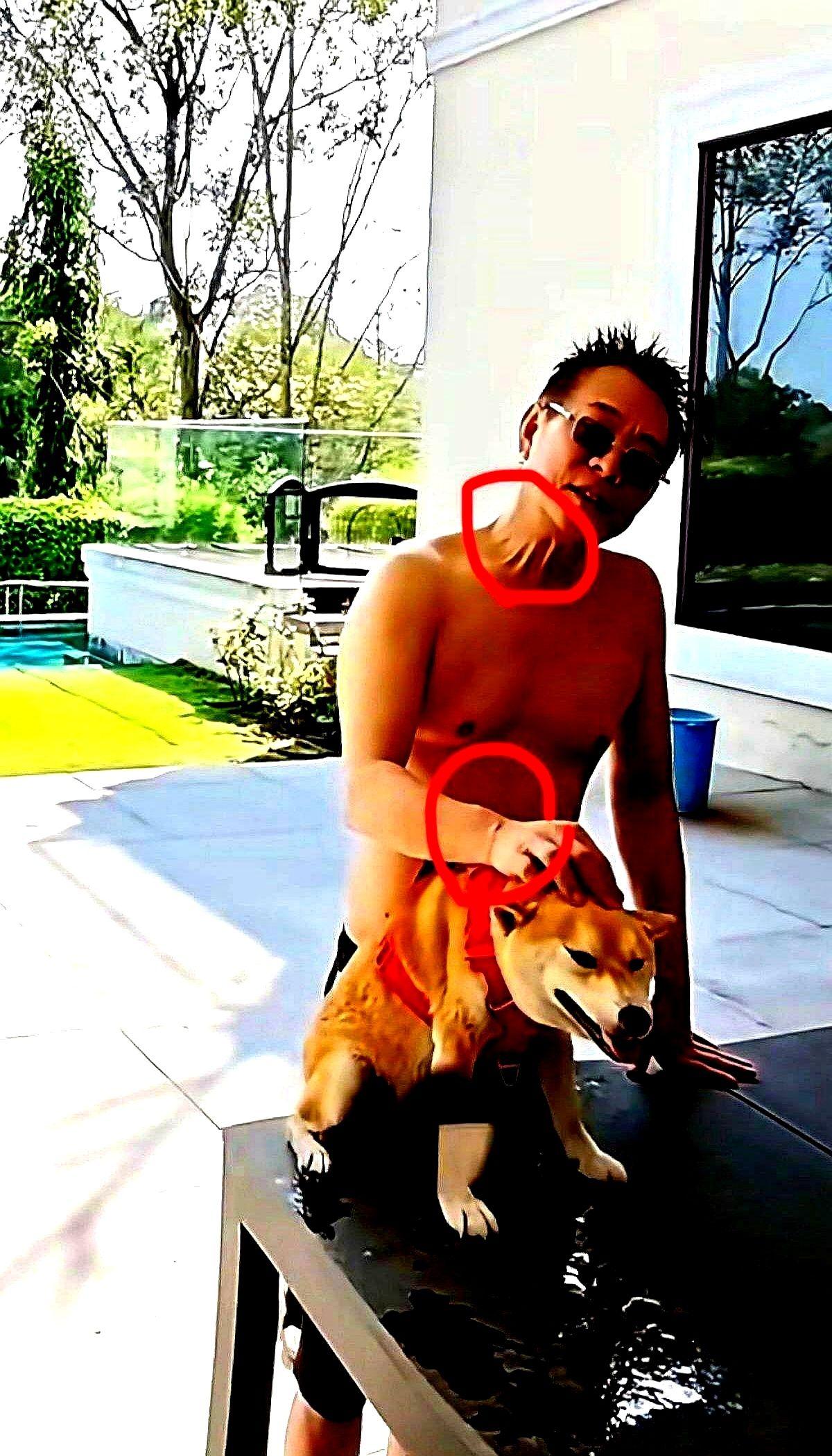 “60岁就该躺平？”李连杰把这句话按进水里。上周他晒出泳池自拍，20分钟10