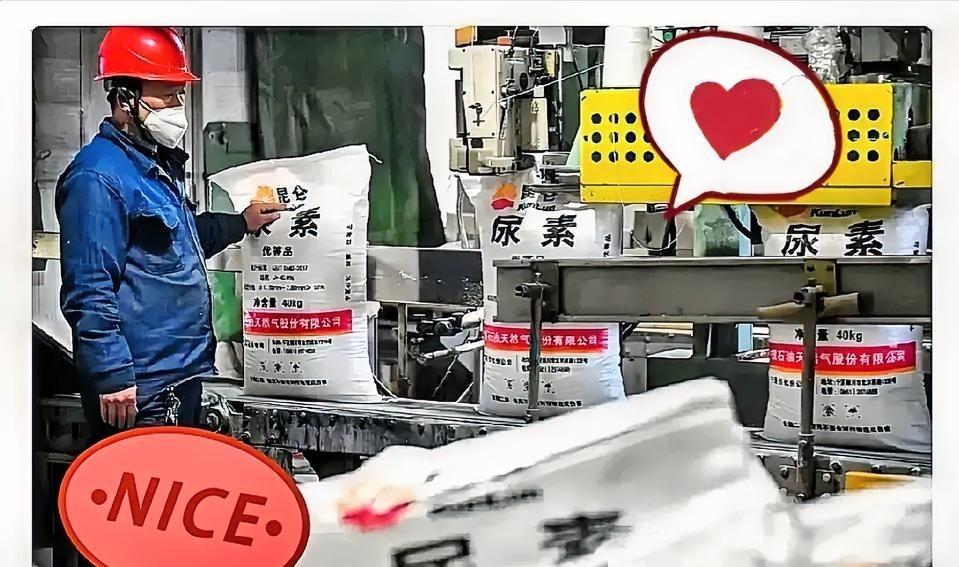 霍尔木兹海峡那边还没消停，谁能想到，咱们西北新疆、宁夏和内蒙的尿素厂却忙得脚不沾