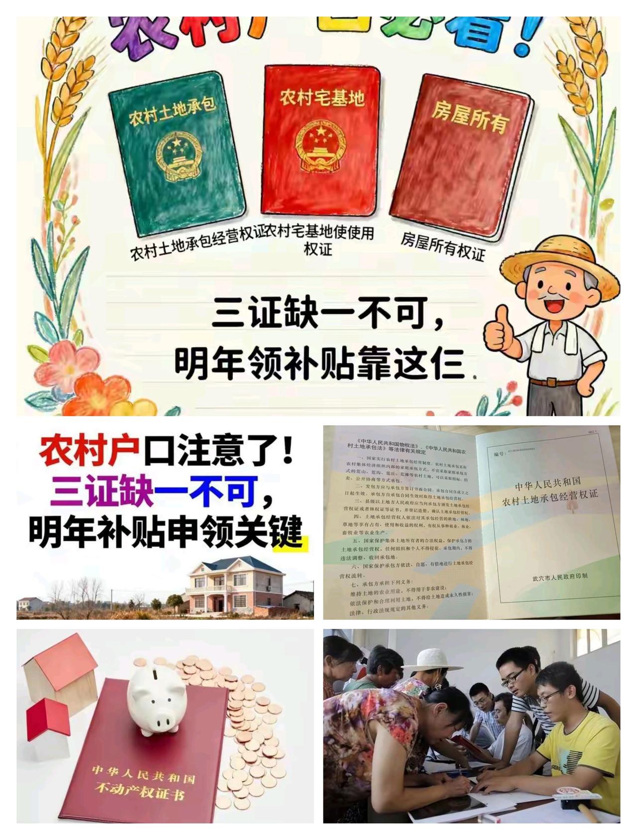 农村户口注意啦！明年领补贴就靠这三证，一个都不能少上周替村里王婶去镇里办补贴申