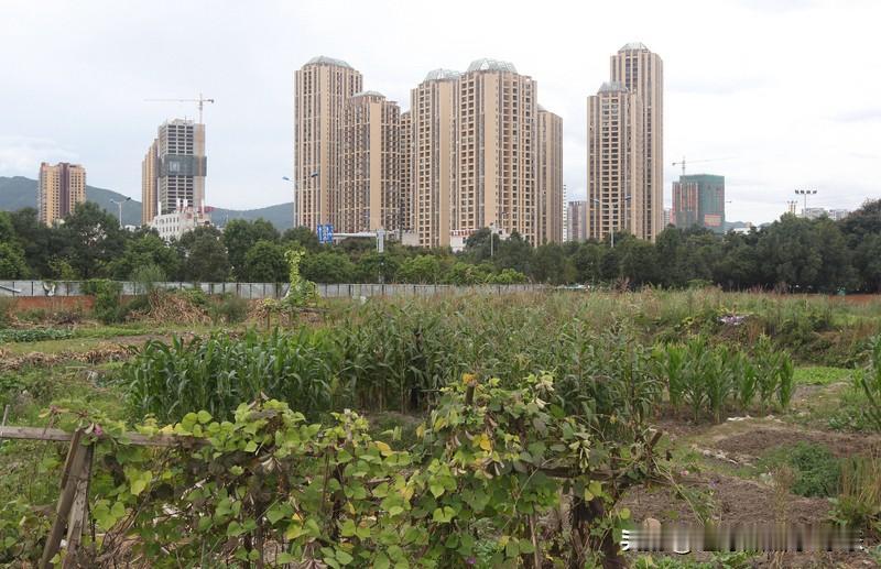 昆明房价这几年虽败犹荣了。昆明作为西部地区第四强的城市，这些年也是保住了这个地