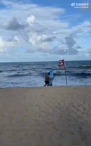 有鲨鱼迷惑行为大赏​​​