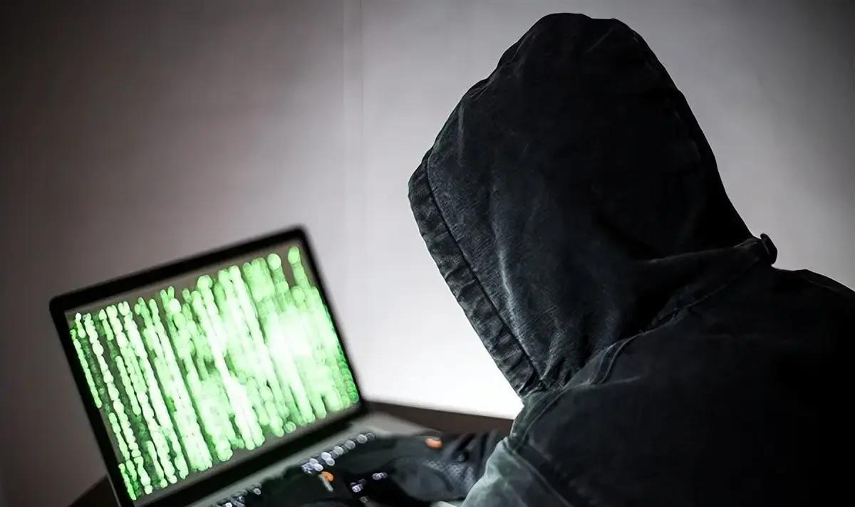 最近德国汉堡的黑客大会上，一位化名玛莎·鲁特的行动者，直接在台上干掉了三个专供白