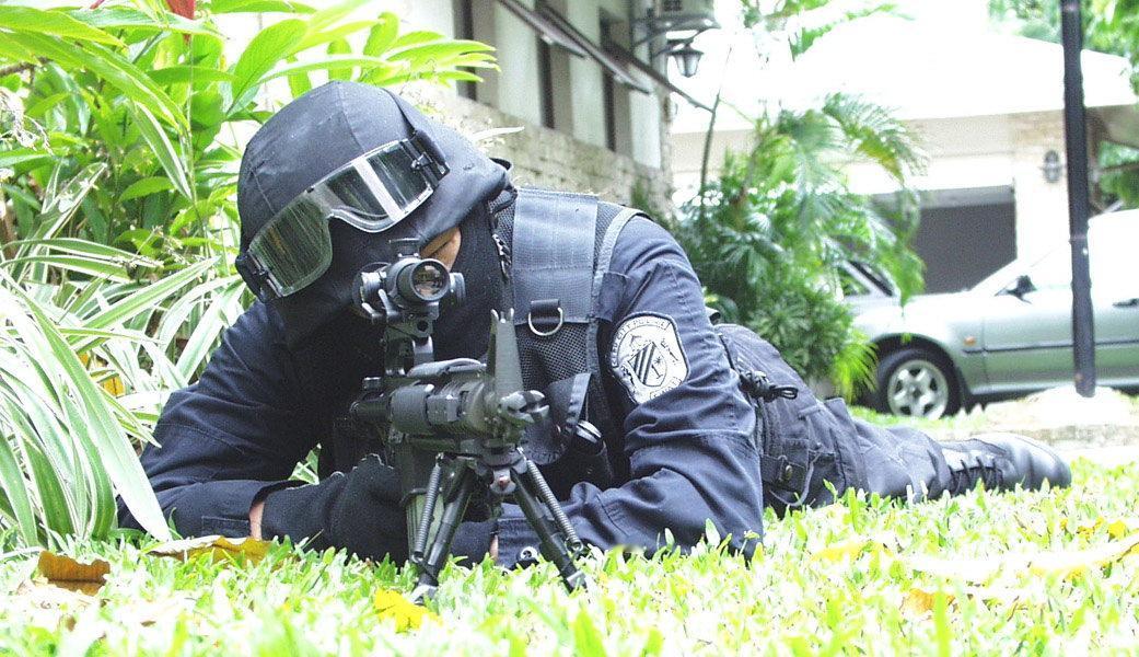 菲律宾国产DMR型是为特警队提供的近距离狙击步枪，采用16英寸枪管、RIS护木和