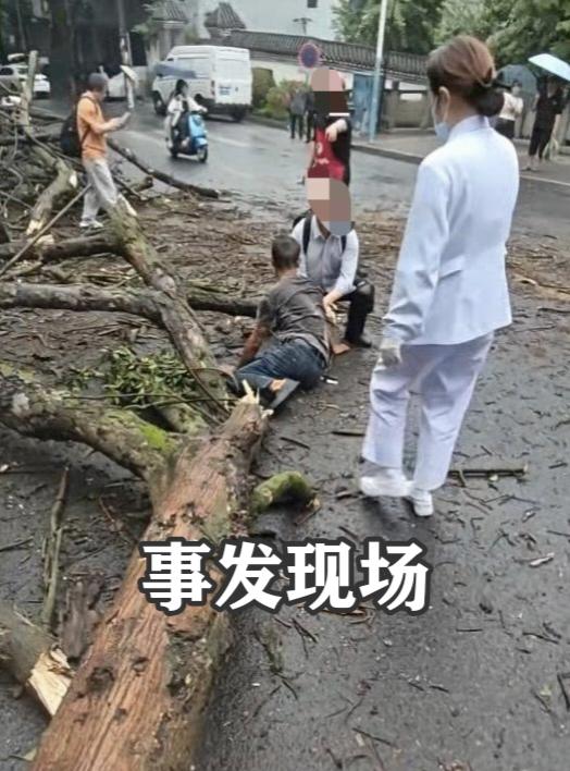 亲属已放弃治疗！四川泸州，3人被人行道大树砸中，其中的那名51岁男子，命太苦了，