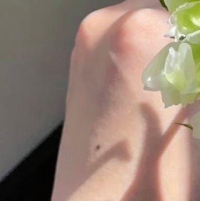 0000绿韵芍药种植1.品种选择与育苗选择适合盆栽的矮生品种（如‘翡翠之韵’）