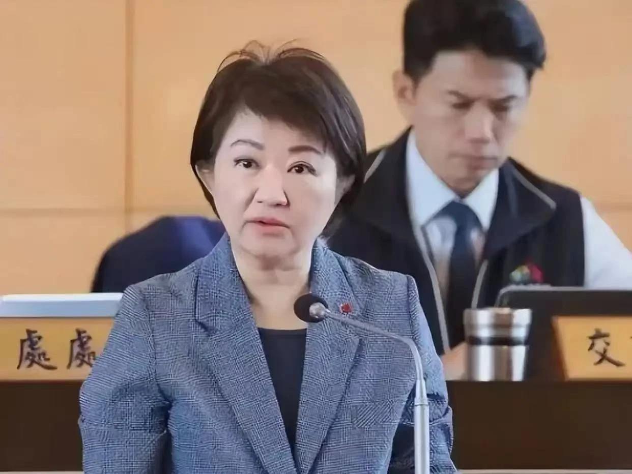 尹乃菁罕见表态：如果卢秀燕这么做，选她和选民进党，有什么不一样？在辞掉国民
