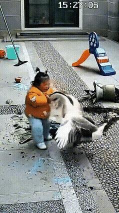 我跟你拼了！[哭哭]