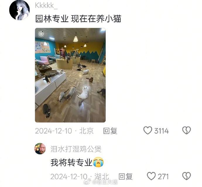 毕业后找工作专业不对口是常态​​​