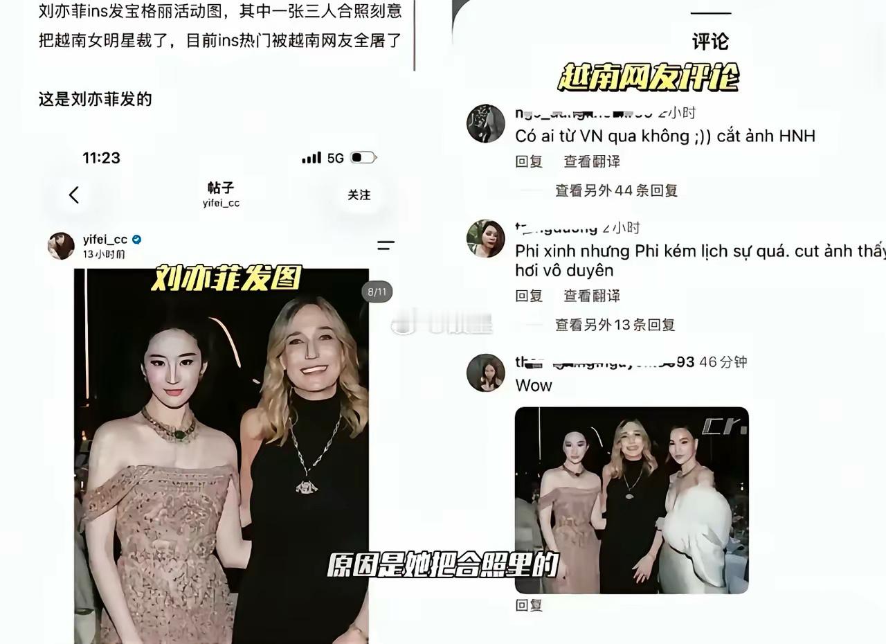 宝格丽晚宴三人合影，刘亦菲发ins时直接裁掉越南女星胡玉荷。照片引发海外争议，大
