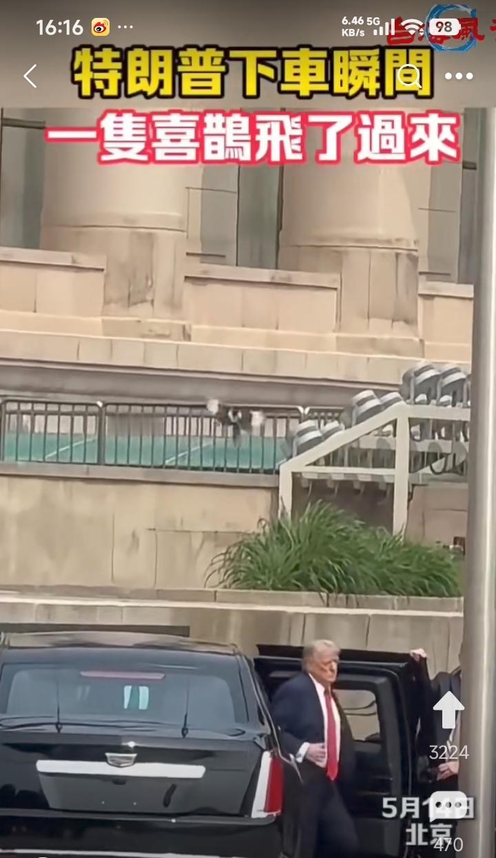特朗普到达人民大会堂下车瞬间，一只喜鹊飞来。应该预示好兆头。中美两国合作共赢