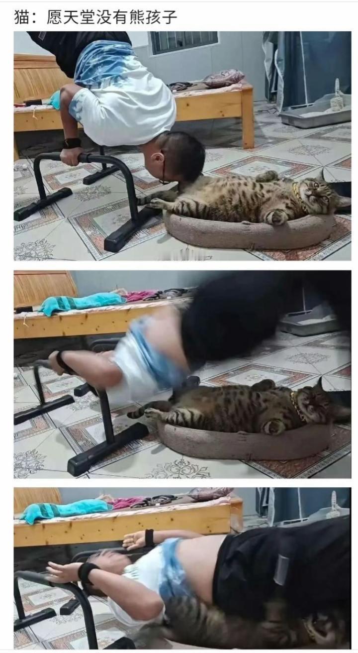 猫链子已经卖了