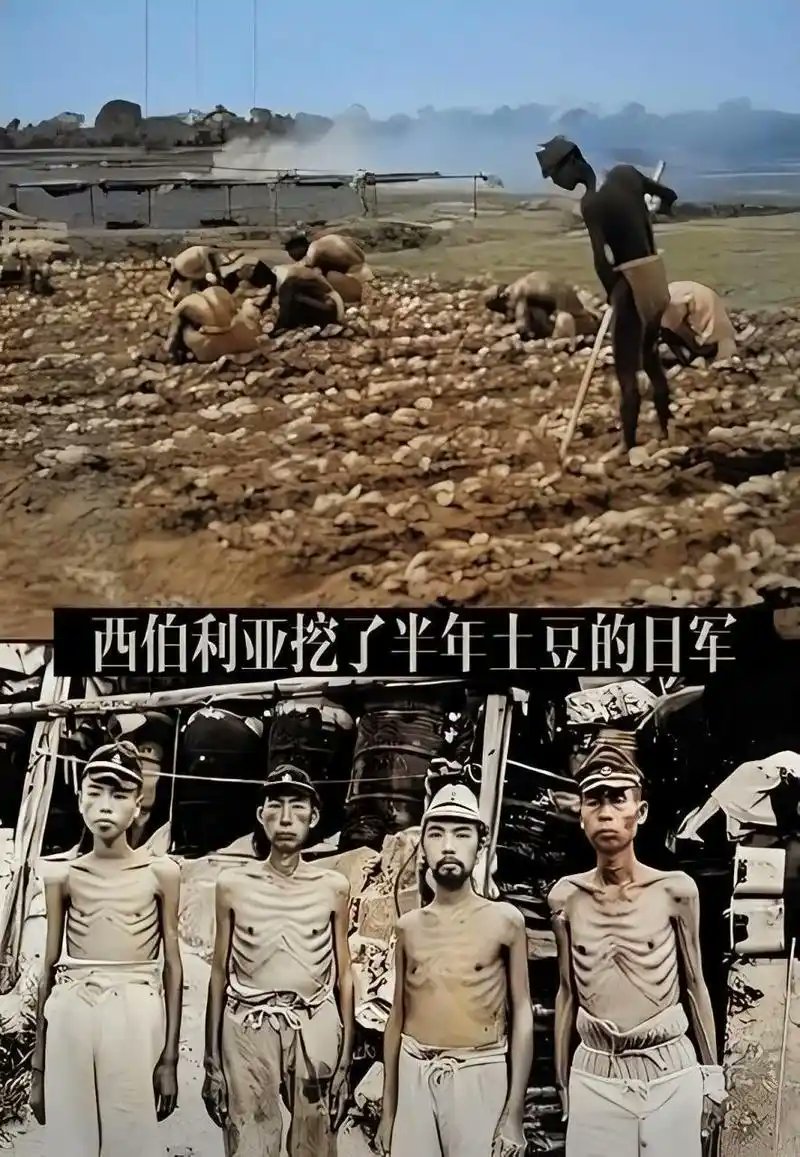 还是毛子懂鬼子