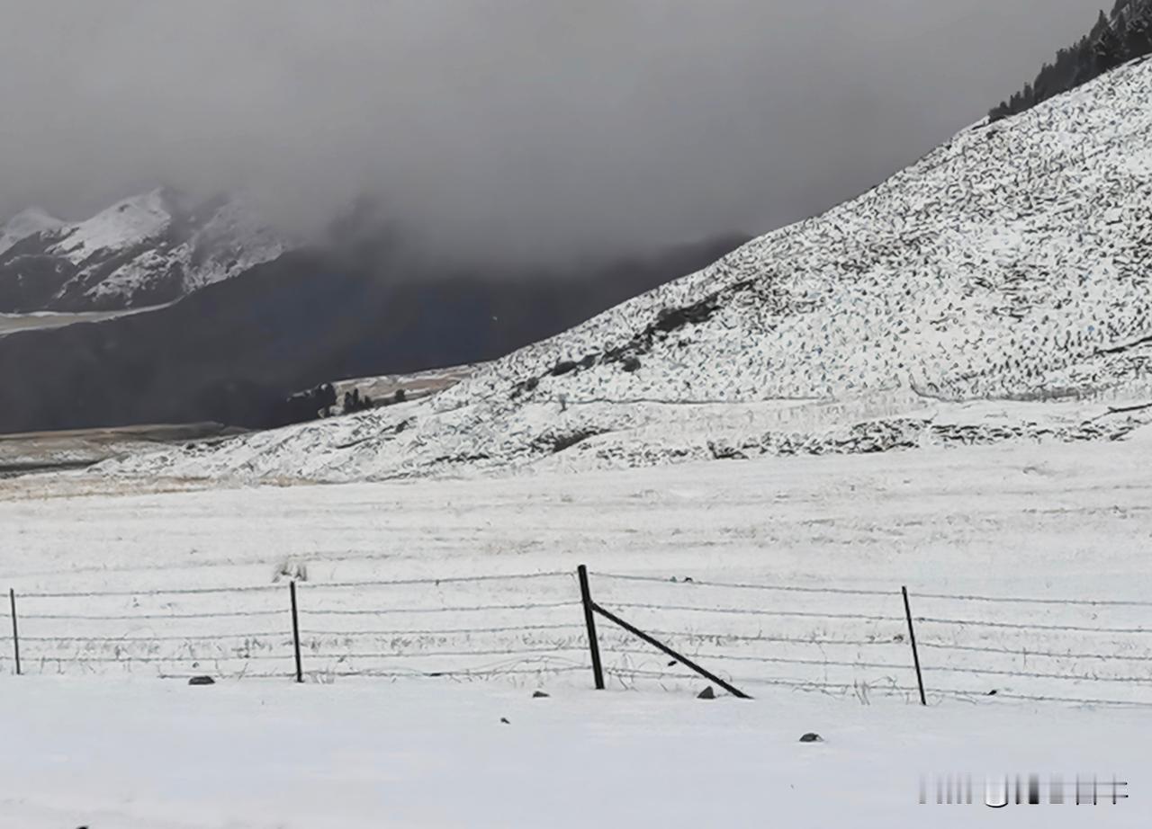 新疆阿克苏北部山区突降飞雪宛如童话世界作者:陈必成孙颖斌正