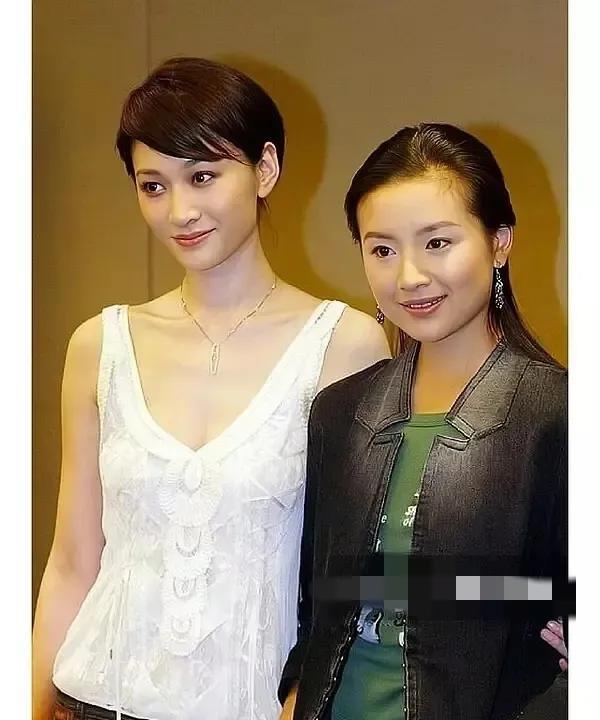 李小冉真神奇，单看一般般，和其他女星合照又轻松艳压，把董洁都衬托成土里土气的小女