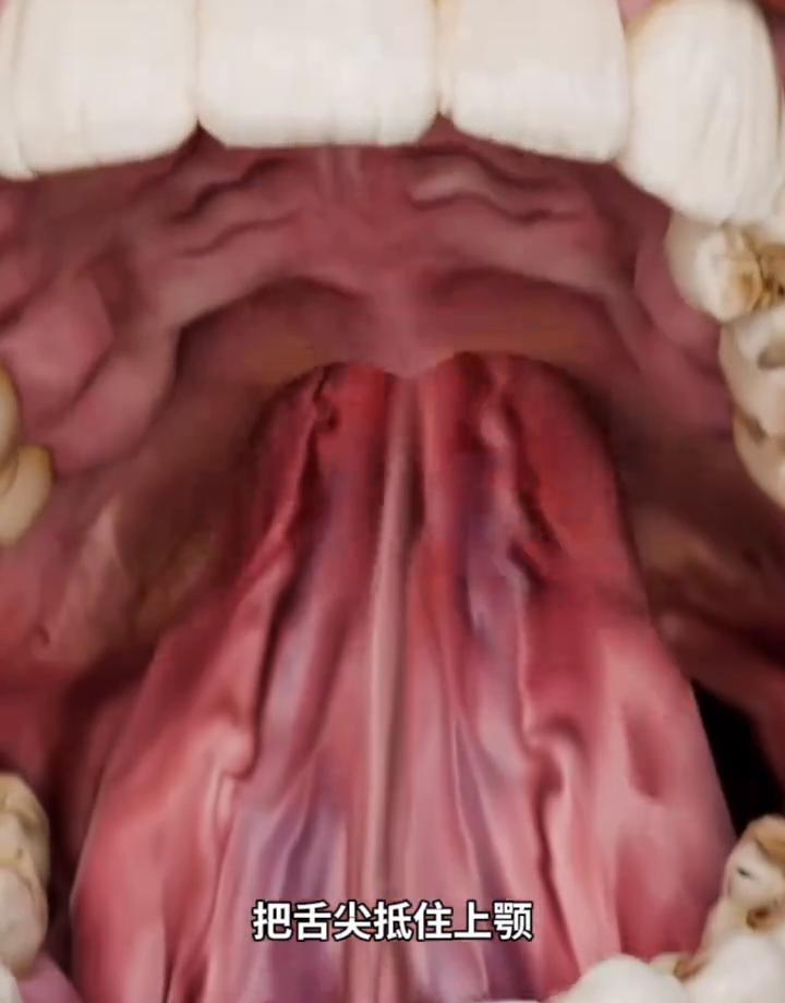 口臭不是嘴臭,是身体在喊饿。舌头抵上颚,唾沫一冒,细菌就哑火。嚼无糖口香糖,