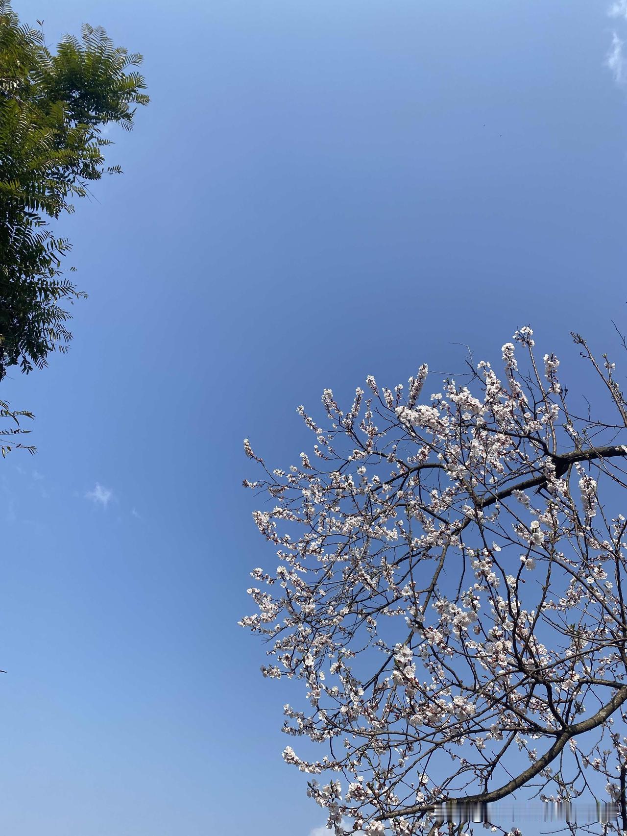 惊天秘密我家二宝从小就有点胆小。一两岁的时候我就发现她怕毛绒绒的玩具，也