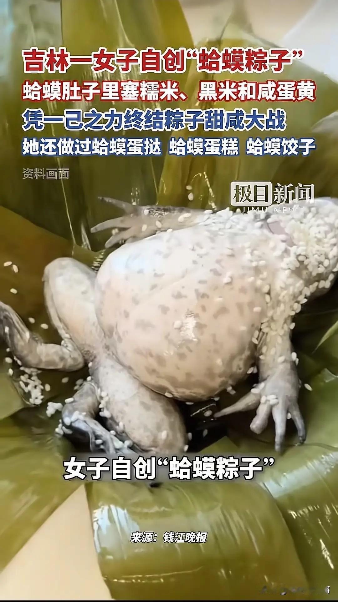 吉林，一女子选择了一只非常漂亮的蛤蟆，然后掰开它的嘴巴，塞满糯米后，再塞了些许蝉