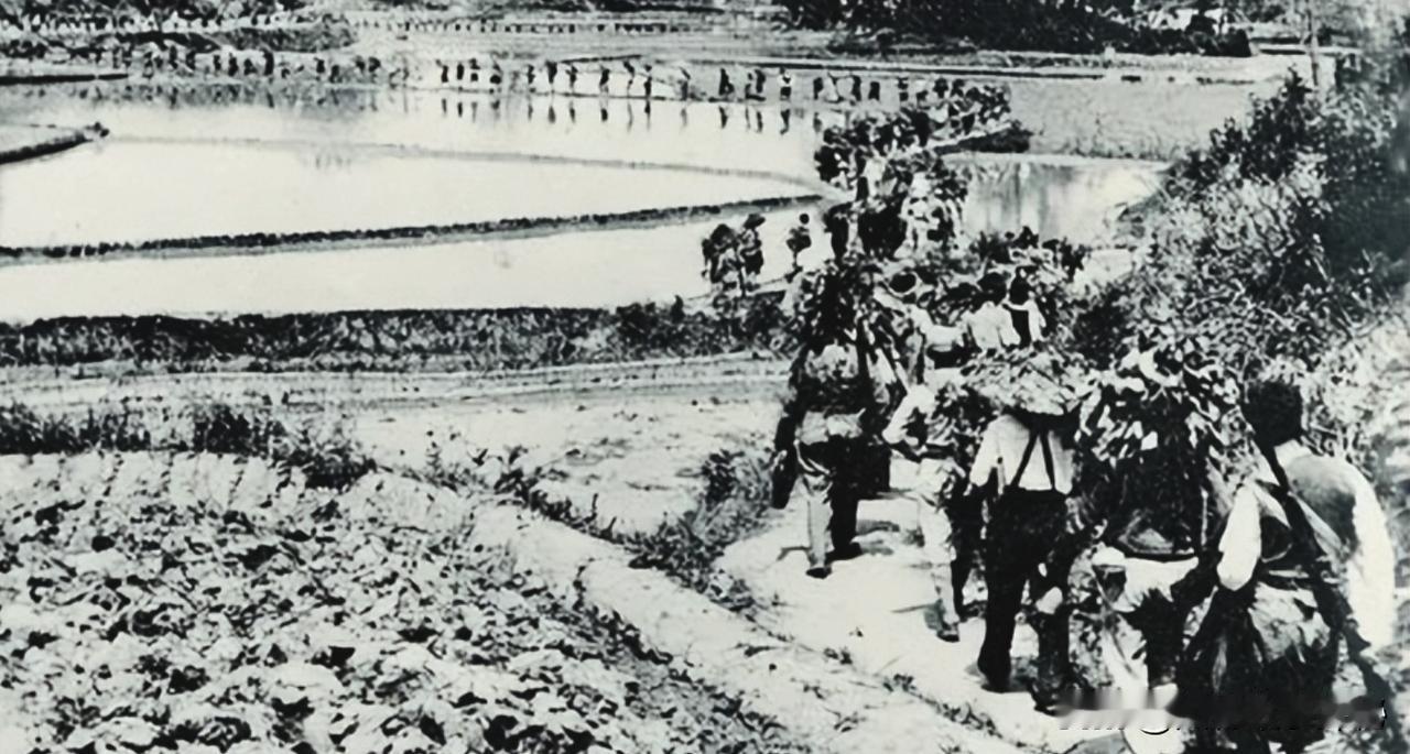 1944年，老虎团七里长队行军，突遇哨兵狂奔报警：日军直扑团部！团长一看傻眼——