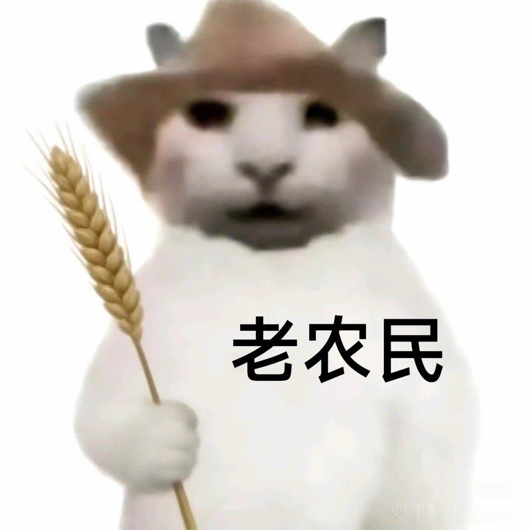 俺真不是住城里大别墅的，是城中村的老破大，周围破得要命，大家都跟捡垃圾盖鸟窝的喜鹊一样，有什么材料盖