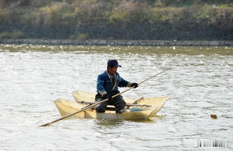 11月25日，黑龙江哈尔滨李女士“离家一年鱼变鱼刺”的视频火了。原来，一年前她养