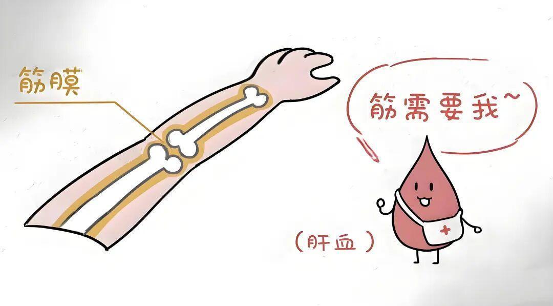 抽动症：可乐定真不如菖麻熄风片！平肝息风还安神，眨眼、耸肩、清嗓子都能治坦白讲