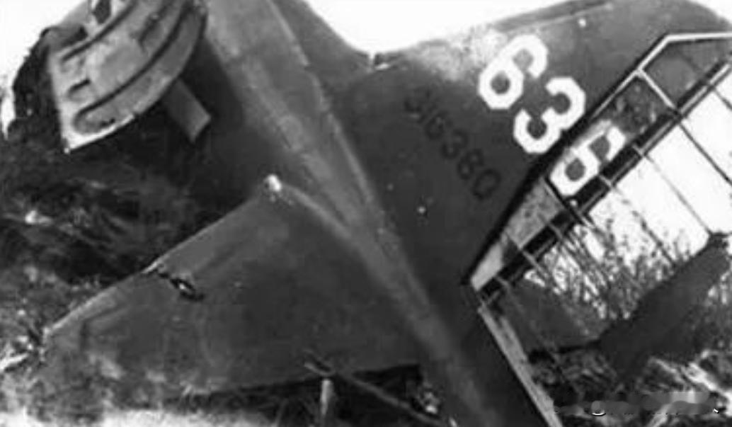 1946年，叶挺将军所乘飞机坠机，失事原因一直是谜，直到2006年，一位普通农村