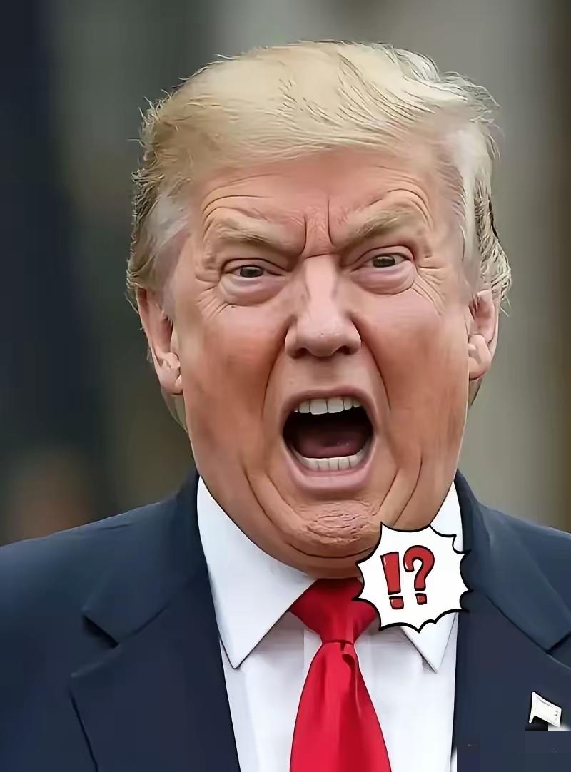 匈牙利国会大选正如火如荼，美国总统特朗普却偏偏选在这个节骨眼上强行“加戏”。法新