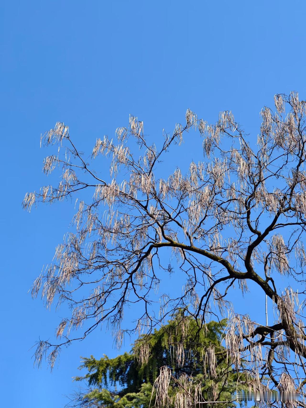 周四武汉地铁客流量继续攀升，已到416万人次以上[赞][赞]爆料身边事地铁