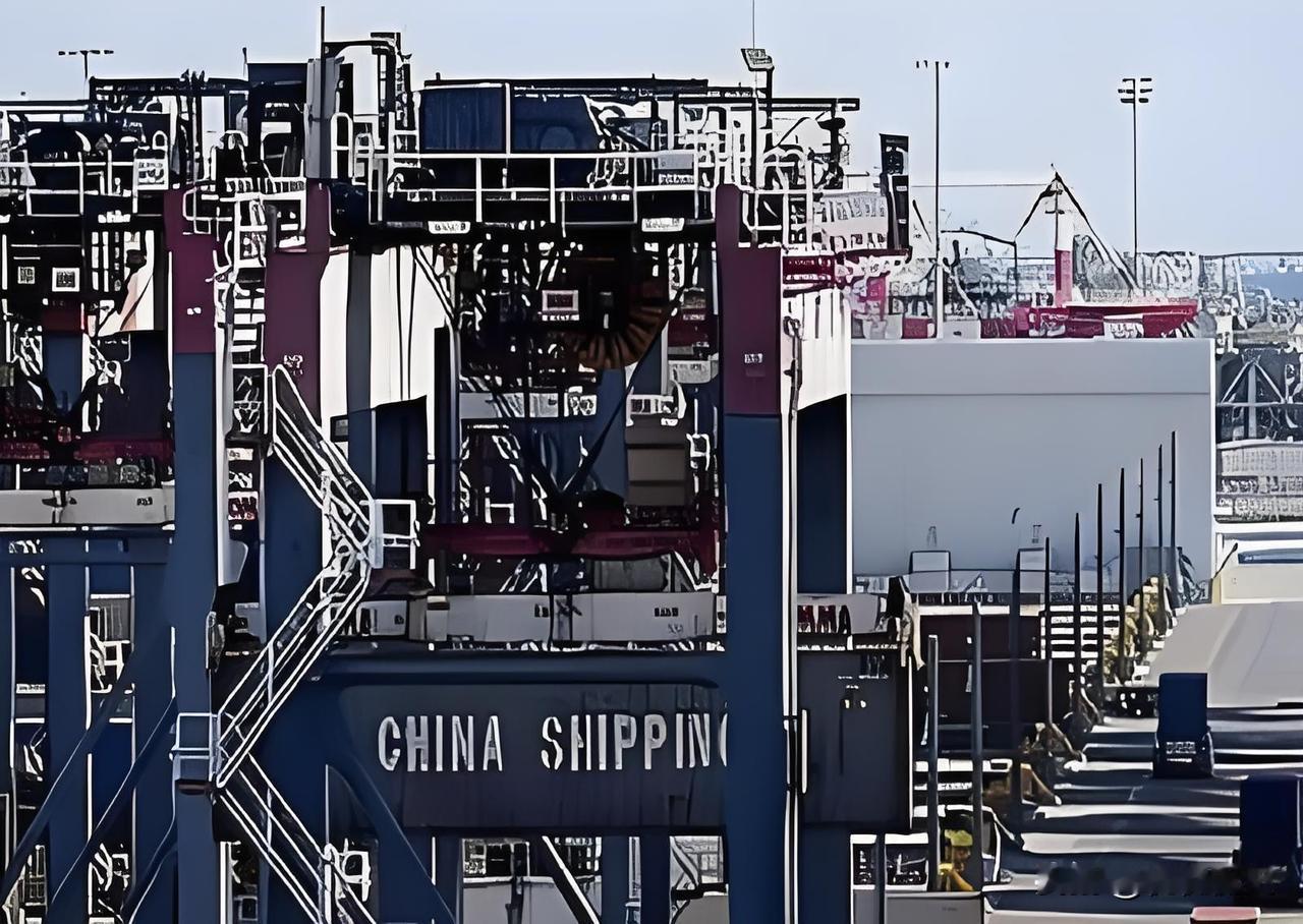 越南新当家苏林一句话，让全球经济分析师的下巴都快掉地上了。他对着所有人承诺，未来