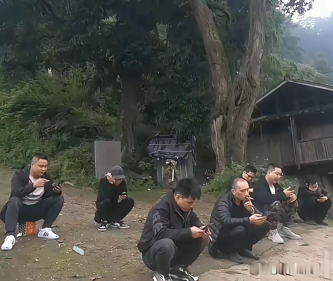 村里的年味一年比一年浓时，总有群身影格外显眼——那些三十出头的单身汉，往往比在外