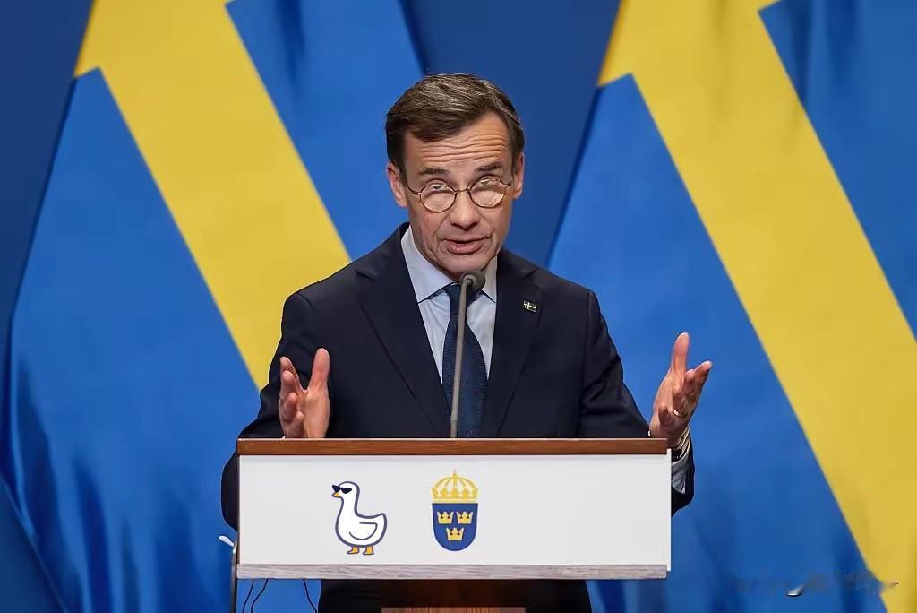 瑞典向乌克兰提供大量援助。俄罗斯卫星通讯社12月21日报道，瑞典外交部发布消息