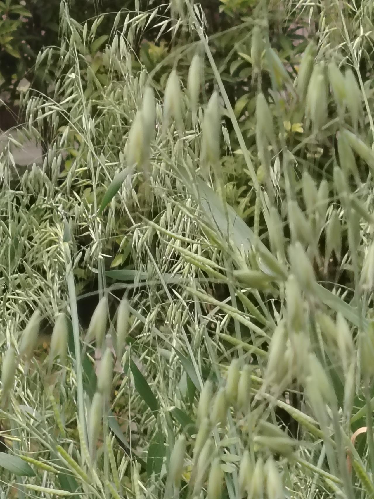 《父母爱情》是一部好的电视剧吗?《父母爱情》是一部值收看的电视剧，这部电视剧反映