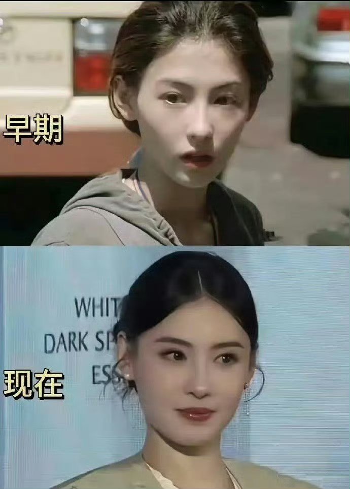 张柏芝跟宋祖儿比,这脸真的一模一样啊,骨相美具体化了