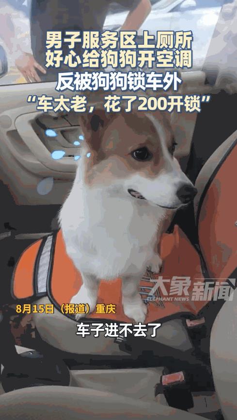 “笑不活了！”8月14日，重庆，一男子在服务区上厕所，担心狗狗在车里热着，还专门